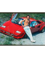 TeNeues Koffietafelboek - The Lamborghini Book