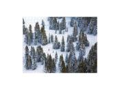 Gray Malin - 500 Piece, 2 sized puzzle, The Snow